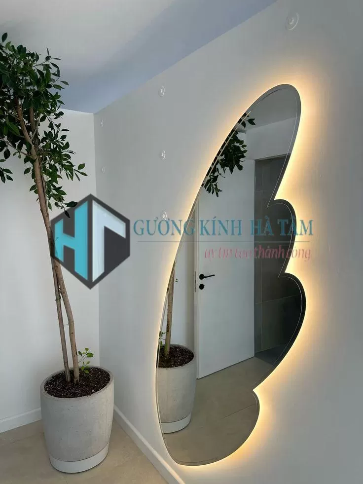 Gương soi toàn thân trang trí 1